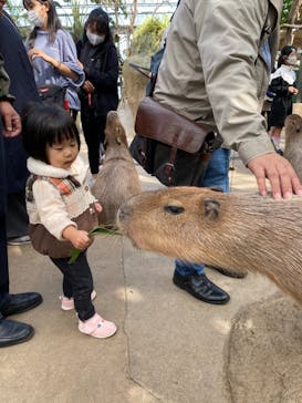 神戸どうぶつ王国に投稿された画像（2020/10/24）