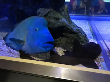 すみだ水族館に投稿された画像（2020/10/24）