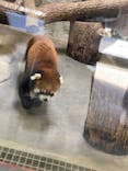 天王寺動物園に投稿された画像（2020/10/24）