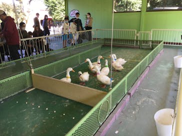 別府ケーブルラクテンチに投稿された画像（2020/10/24）