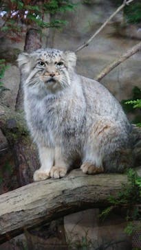 那須どうぶつ王国に投稿された画像（2020/10/24）