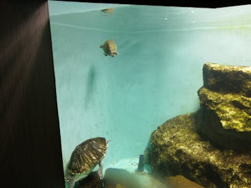 天王寺動物園に投稿された画像（2020/10/24）