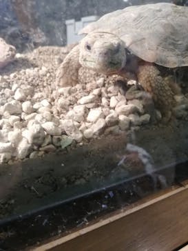 天王寺動物園に投稿された画像（2020/10/24）