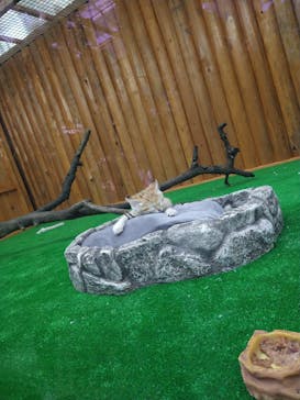 神戸どうぶつ王国に投稿された画像（2020/10/24）