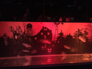 すみだ水族館に投稿された画像（2020/10/24）