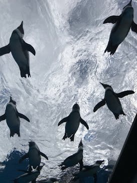 サンシャイン水族館に投稿された画像（2020/10/24）