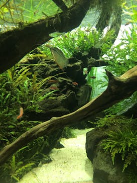 すみだ水族館に投稿された画像（2020/10/24）