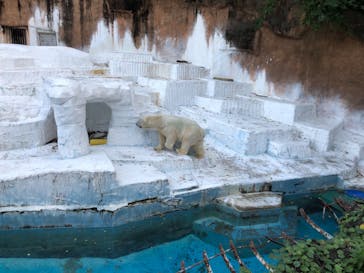 天王寺動物園に投稿された画像（2020/10/24）