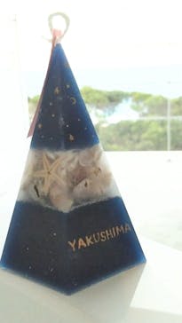Yakushima HIKARI（ヤクシマヒカリ）に投稿された画像（2020/10/24）