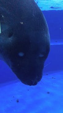 サンシャイン水族館に投稿された画像（2020/10/24）