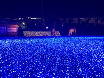 東京メガイルミに投稿された画像（2020/10/24）