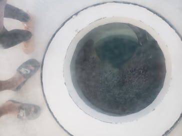 しながわ水族館に投稿された画像（2020/10/24）