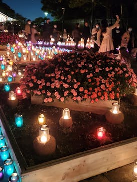 江の島シーキャンドルに投稿された画像（2020/10/24）