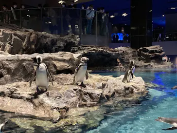 すみだ水族館に投稿された画像（2020/10/24）