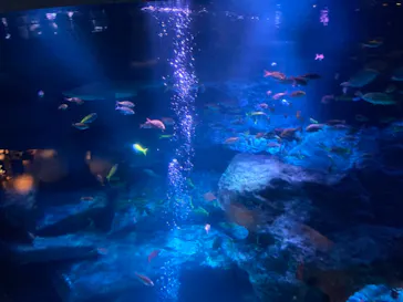 すみだ水族館に投稿された画像（2020/10/24）