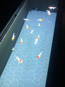 すみだ水族館に投稿された画像（2020/10/24）