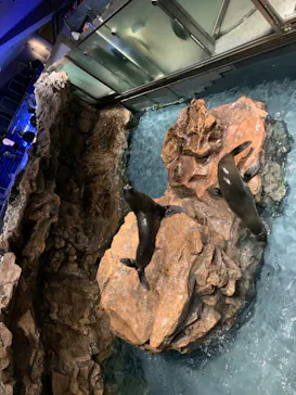 すみだ水族館に投稿された画像（2020/10/24）