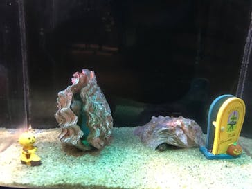 アクアワールド茨城県大洗水族館に投稿された画像（2020/10/24）