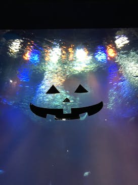 アクアワールド茨城県大洗水族館に投稿された画像（2020/10/24）