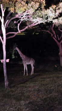 天王寺動物園に投稿された画像（2020/10/24）