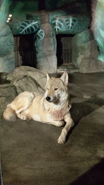 天王寺動物園に投稿された画像（2020/10/24）