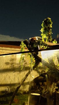 天王寺動物園に投稿された画像（2020/10/24）