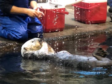 株式会社Gに投稿された画像（2020/10/24）