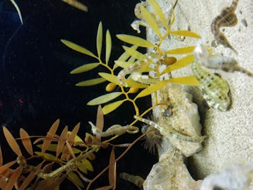 株式会社Gに投稿された画像（2020/10/24）