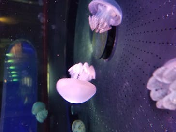 株式会社Gに投稿された画像（2020/10/24）