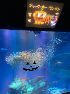 アクアワールド茨城県大洗水族館に投稿された画像（2020/10/24）