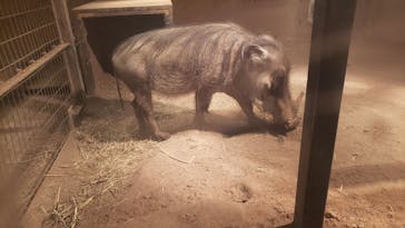 旭川市旭山動物園に投稿された画像（2020/10/24）