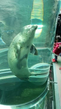 旭川市旭山動物園に投稿された画像（2020/10/24）