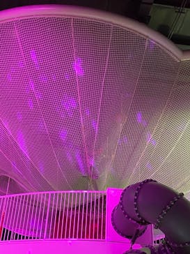 モビリティリゾートもてぎに投稿された画像（2020/10/24）