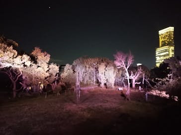 天王寺動物園に投稿された画像（2020/10/24）