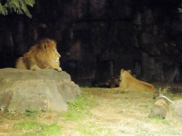 天王寺動物園に投稿された画像（2020/10/24）