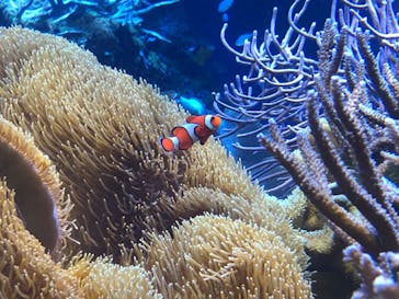 鳥羽水族館に投稿された画像（2020/10/24）