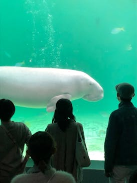 鳥羽水族館に投稿された画像（2020/10/24）