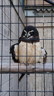 天王寺動物園に投稿された画像（2020/10/24）