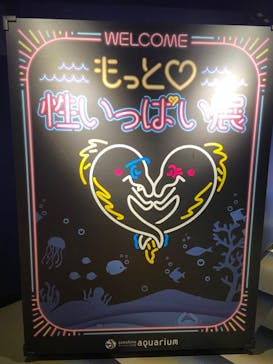 サンシャイン水族館に投稿された画像（2020/10/24）