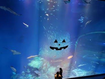 アクアワールド茨城県大洗水族館に投稿された画像（2020/10/24）