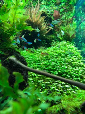 すみだ水族館に投稿された画像（2020/10/24）