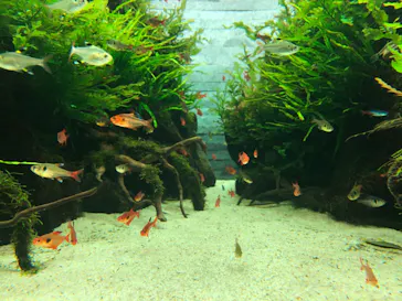 すみだ水族館に投稿された画像（2020/10/24）