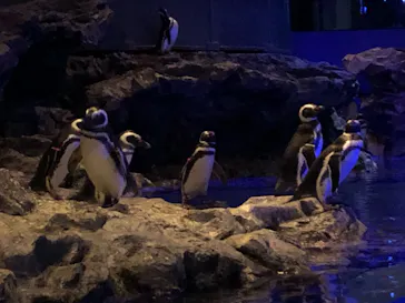 すみだ水族館に投稿された画像（2020/10/24）