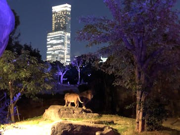 天王寺動物園に投稿された画像（2020/10/24）