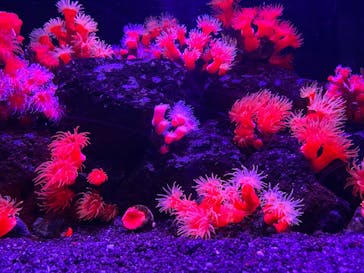 マリンワールド海の中道に投稿された画像（2020/10/24）