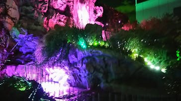 サンシャイン水族館に投稿された画像（2020/10/24）