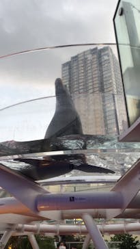 サンシャイン水族館に投稿された画像（2020/10/24）