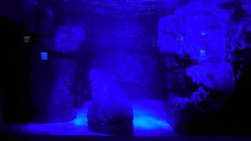 京都水族館に投稿された画像（2020/10/24）