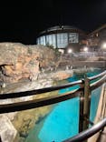 アクアワールド茨城県大洗水族館に投稿された画像（2020/10/25）