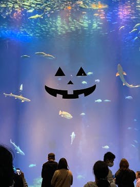 アクアワールド茨城県大洗水族館に投稿された画像（2020/10/24）